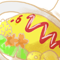 ★給仕ハガネ
