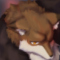 ★斧狐ビリス