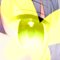 ★偏愛のヒナゲシ