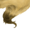 出現例