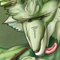 ★キュクルペース