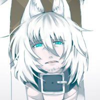 ★伊丹狐-200