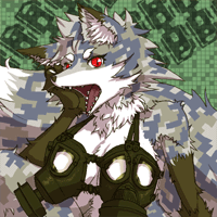 ★波賀野-200