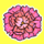 ★立狐芍薬-40