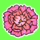 ★立狐芍薬-40