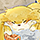 ★月を眺めるロップコャー-40